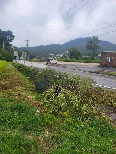 2019 Mercedes-Benz E 300 NONE VIN: