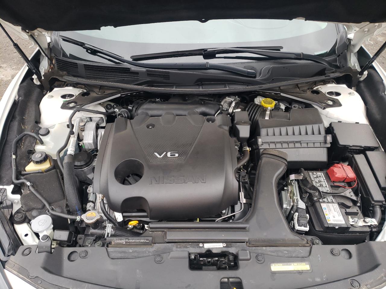 2023 NISSAN MAXIMA SV VIN:1N4AA6CV3PC503094