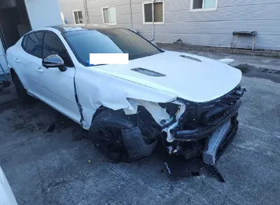 2021 Kia Stinger KNAE551CDMS098940 VIN:KNAE551CDMS098940
