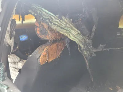 2015 Volkswagen Golf VIN: