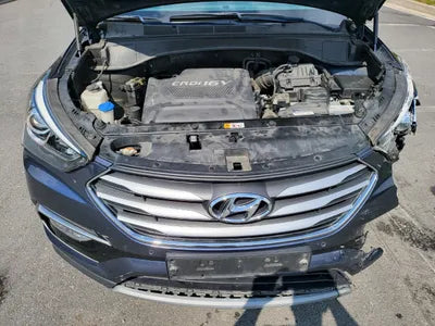 2018 Hyundai Santa FE KMHSW81UBJU809109 VIN:KMHSW81UBJU809109