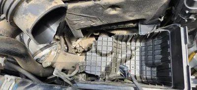 2019 Hyundai Kona VIN: