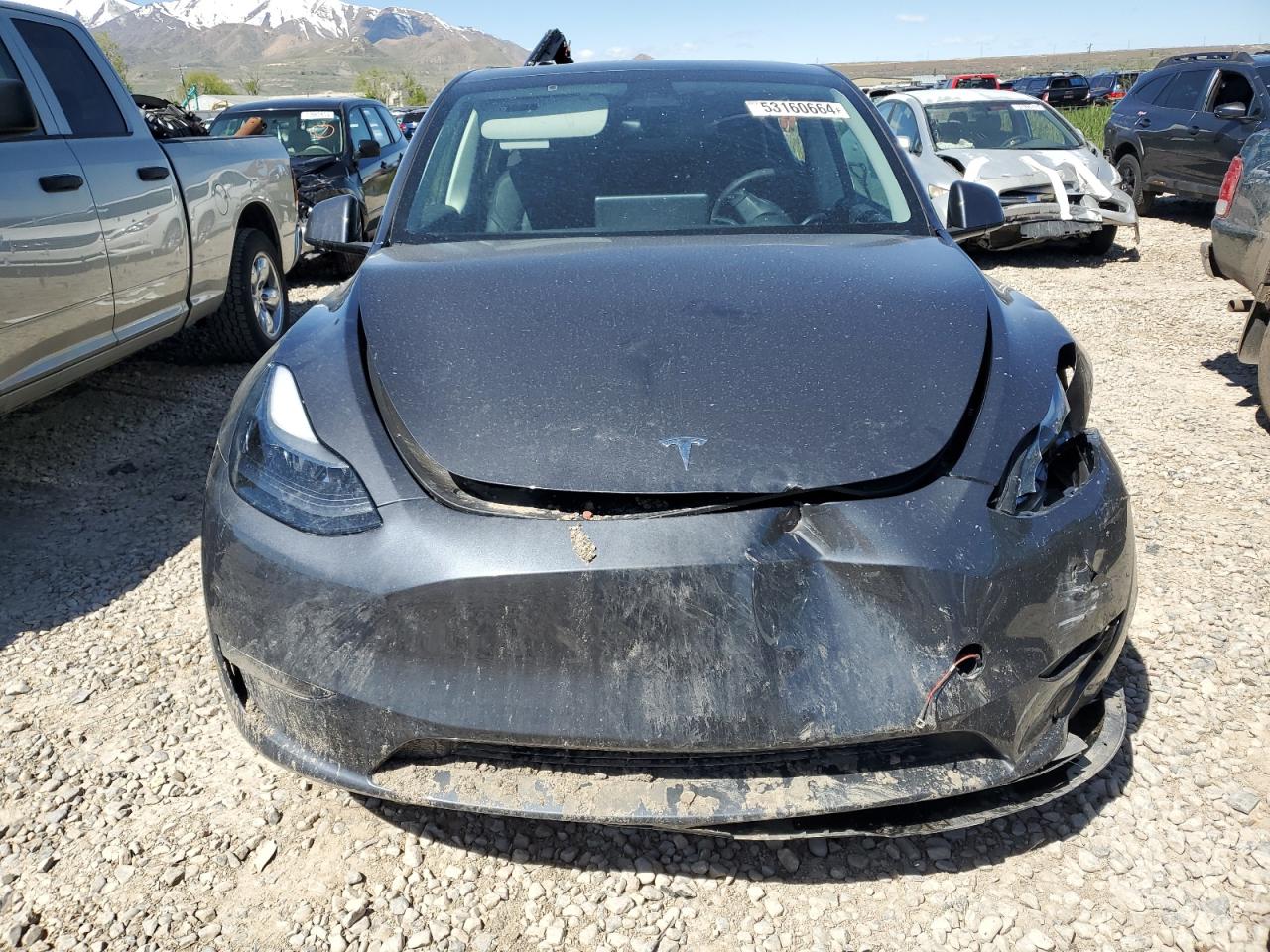 2023 TESLA MODEL Y  VIN:7SAYGDEE1PF608845