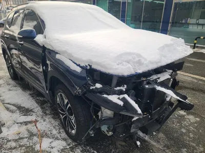 2019 Hyundai Santa FE KMHS381CDKU156880 VIN:KMHS381CDKU156880