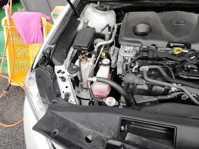 2019 Toyota Camry VIN: