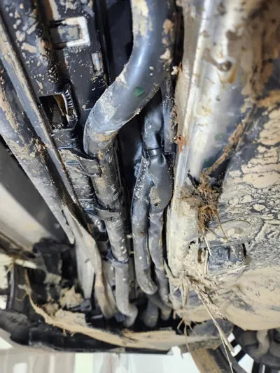 2019 Mercedes-Benz S 560 WDDUG8GB0KA495984 VIN:WDDUG8GB0KA495984