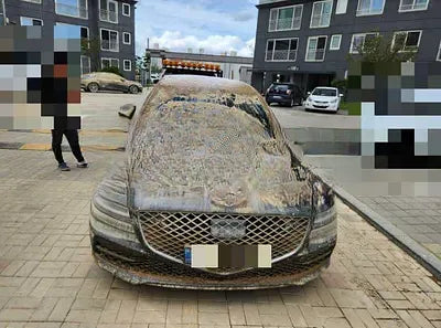 2021 Genesis G80 NONE VIN: