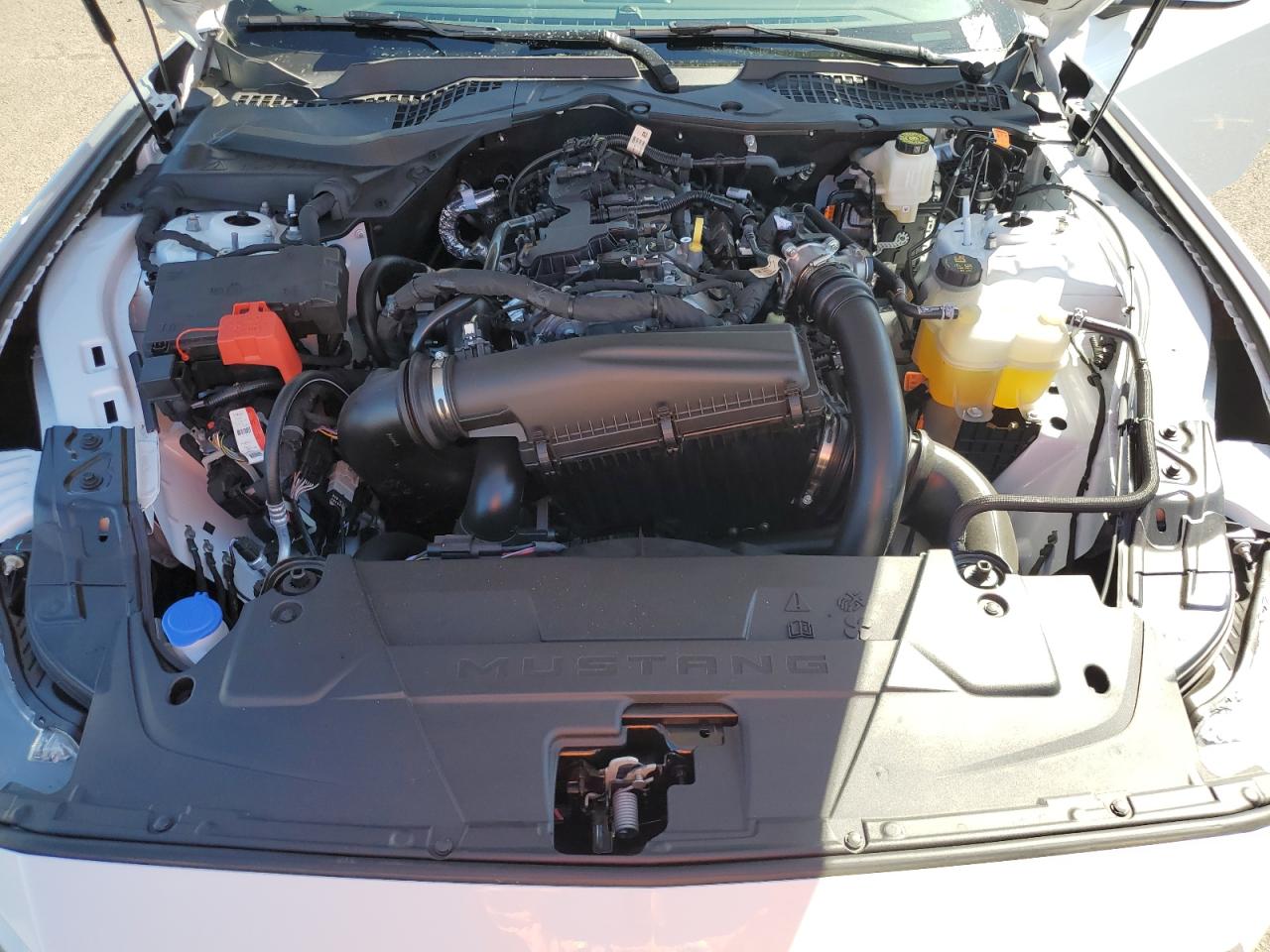 2024 FORD MUSTANG  VIN:1FA6P8TH6R5102995