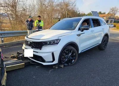 2021 Kia Sorento KNARH81BGMA066156 VIN:KNARH81BGMA066156
