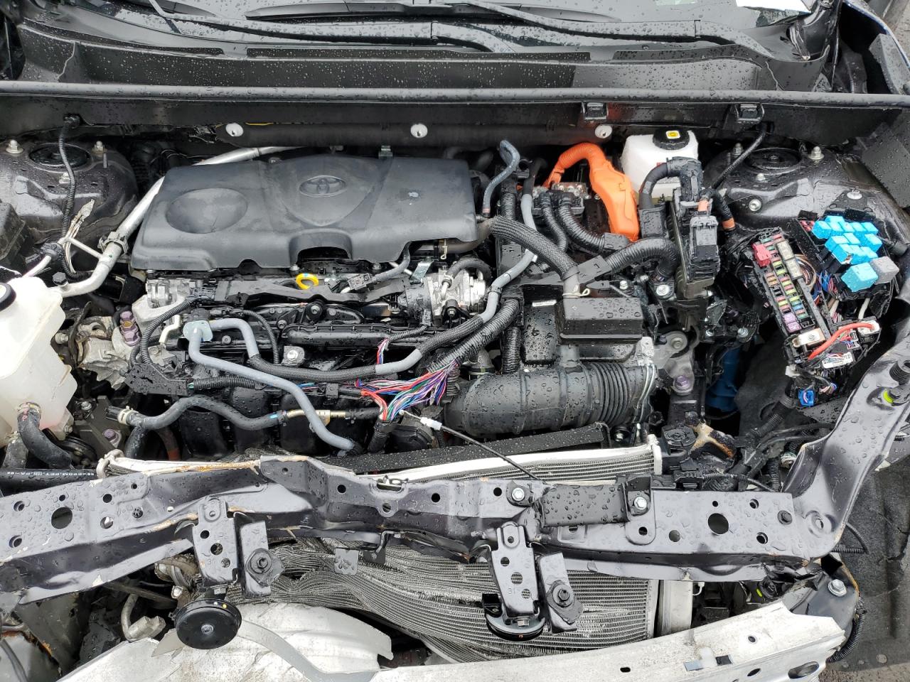 2024 TOYOTA RAV4 XSE VIN:JTME6RFV7RJ059209