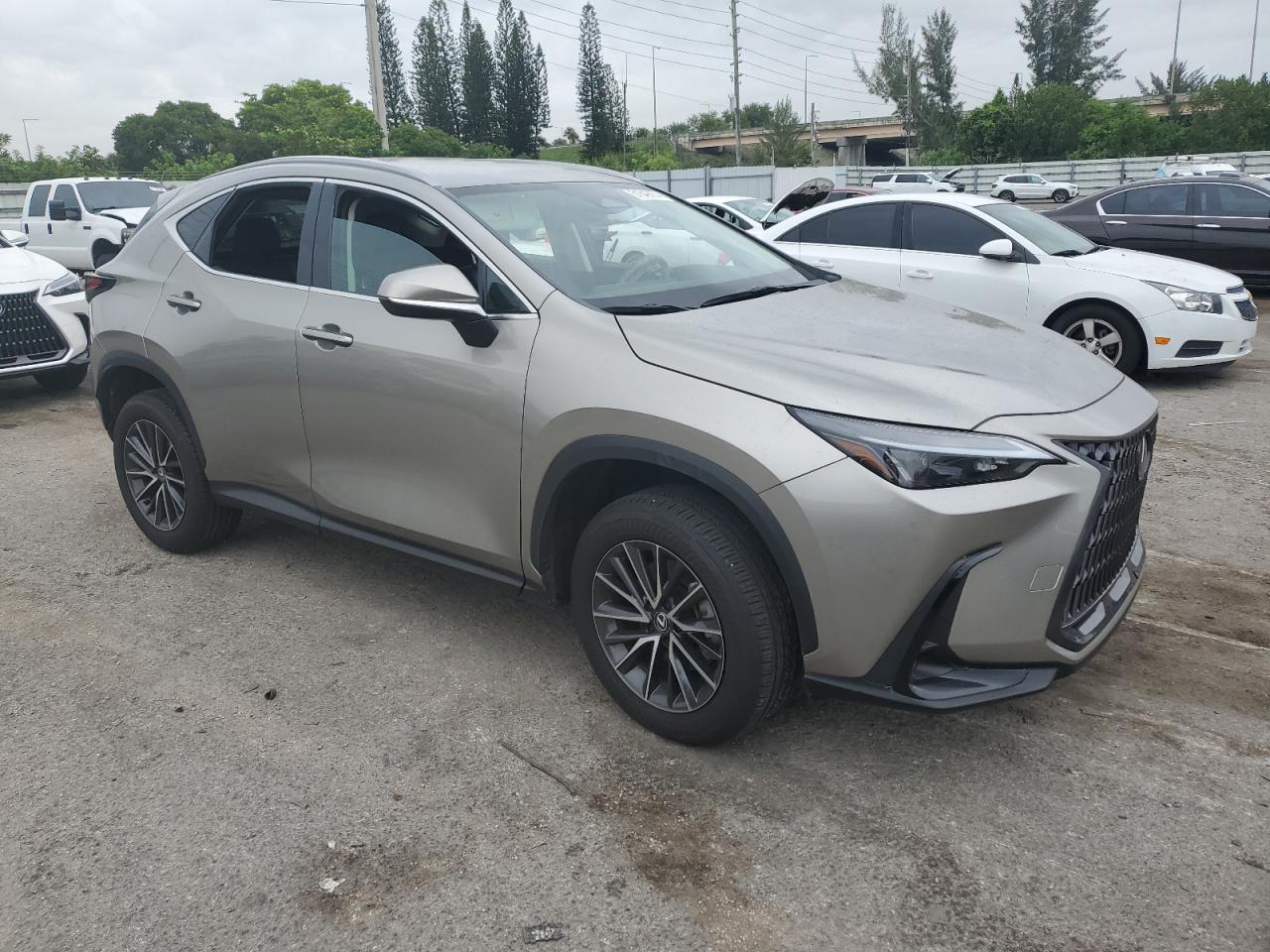 2024 LEXUS NX 250 BASE VIN:2T2ADCAZ0RC007388