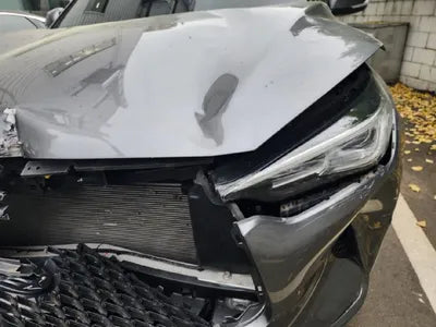 2019 Infiniti QX50 VIN: