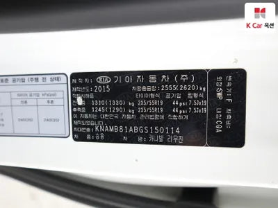 2016 Kia Carnival KNAMB81ABGS150114 VIN:KNAMB81ABGS150114