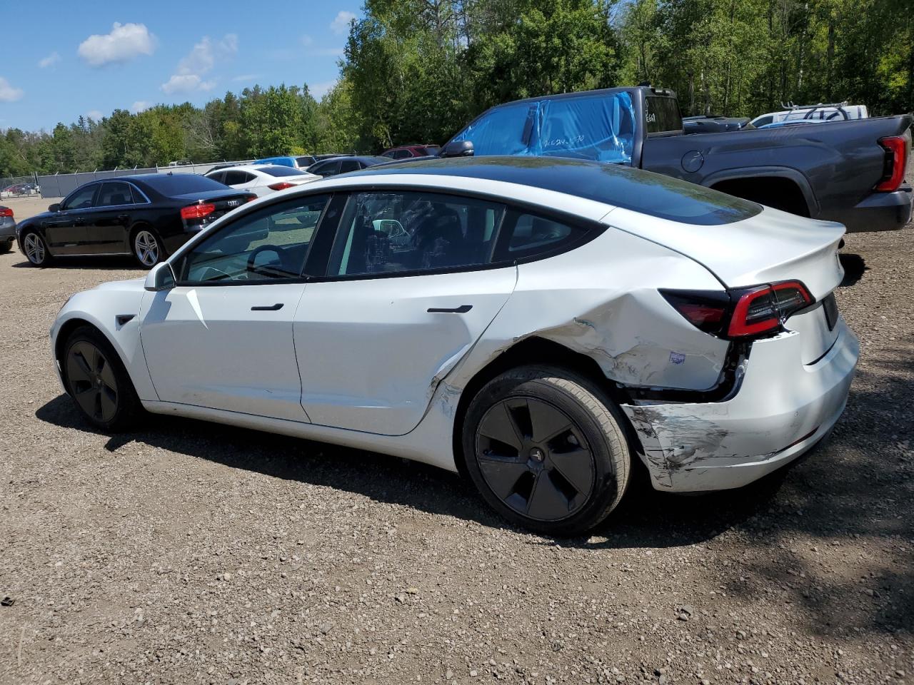 2022 TESLA MODEL 3  VIN:5YJ3E1EA4NF340377