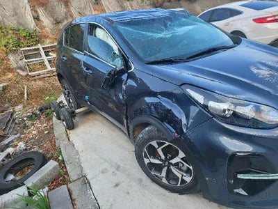 2019 Kia Sportage KNAPM813DKK683695 VIN:KNAPM813DKK683695