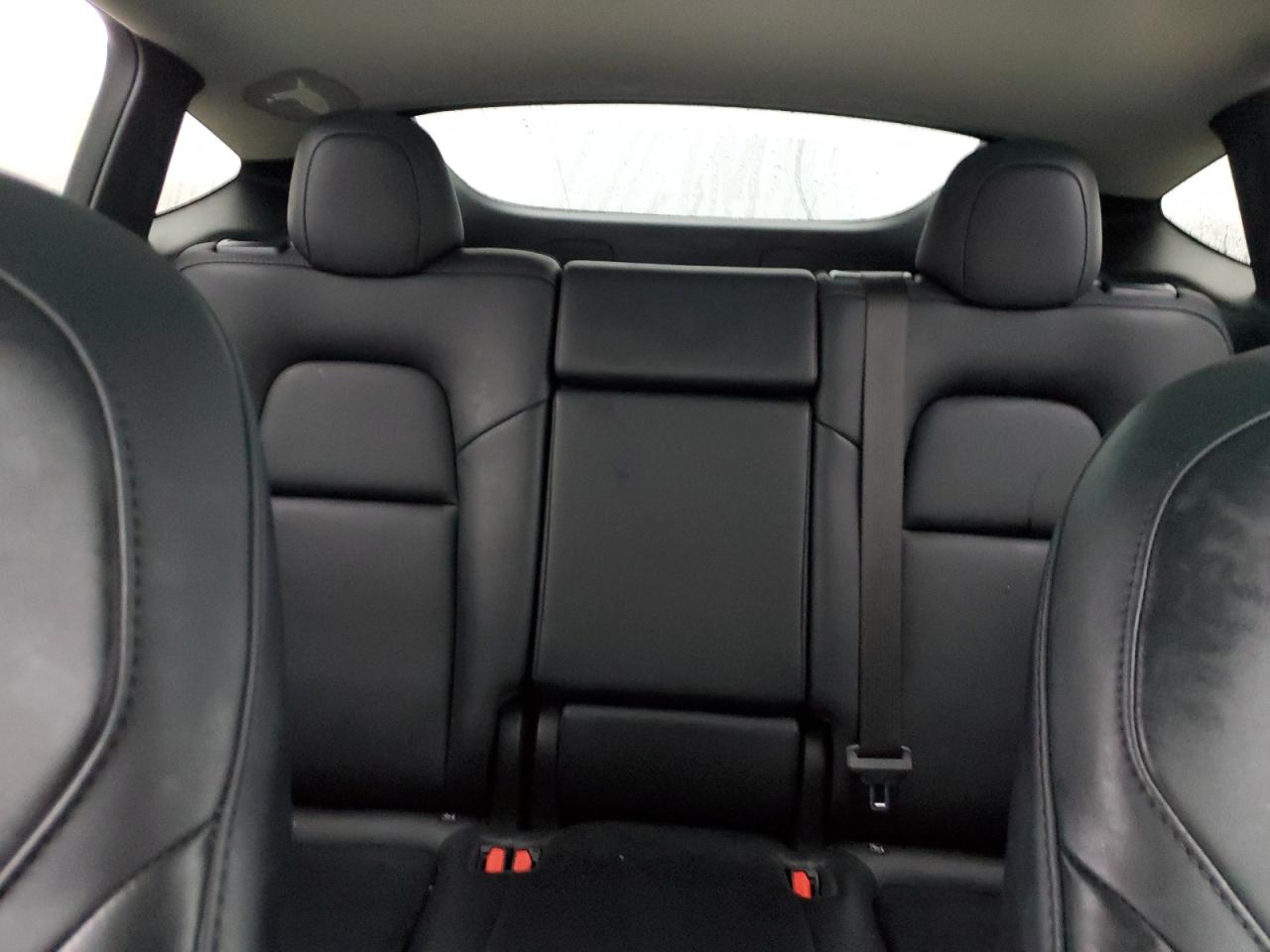 2023 TESLA MODEL Y  VIN:7SAYGDEE4PF870035