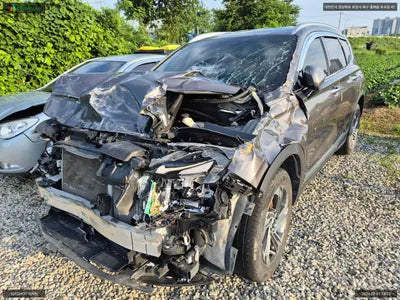 2020 Hyundai Santa FE KMHS381HGMU330317 VIN:KMHS381HGMU330317
