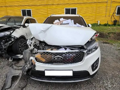 2016 Kia Sorento KNAPS81ABGA185857 VIN:KNAPS81ABGA185857