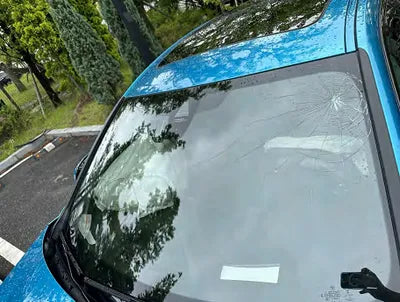 2021 BMW 220 WBA31AL01M7J09007 VIN:WBA31AL01M7J09007