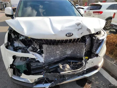 2021 Kia Carnival KNHNC373BMS053651 VIN:KNHNC373BMS053651