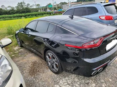 2020 Kia Stinger KNAE351ABLS084289 VIN:KNAE351ABLS084289