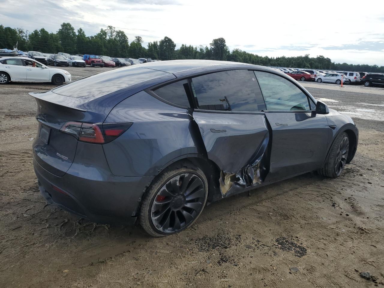 2023 TESLA MODEL Y  VIN:7SAYGDEF8PF762932