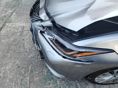 2019 Lexus ES 300 VIN: