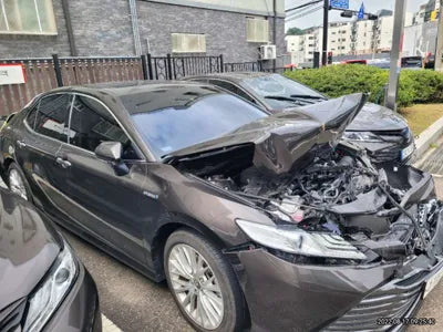 2019 Toyota Camry JTNB21HK9K3017410 VIN:JTNB21HK9K3017410