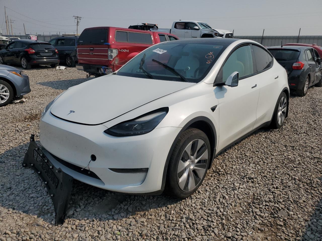 2023 TESLA MODEL Y  VIN:7SAYGDEE7PF682836