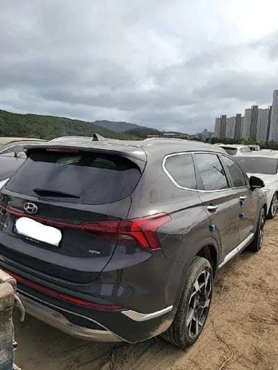 2021 Hyundai Santa FE KMHS381LHMU394906 VIN:KMHS381LHMU394906