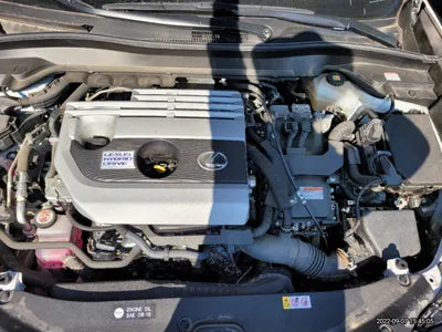 2020 Lexus UX 250 JTHP6JBH5L2073913 VIN:JTHP6JBH5L2073913