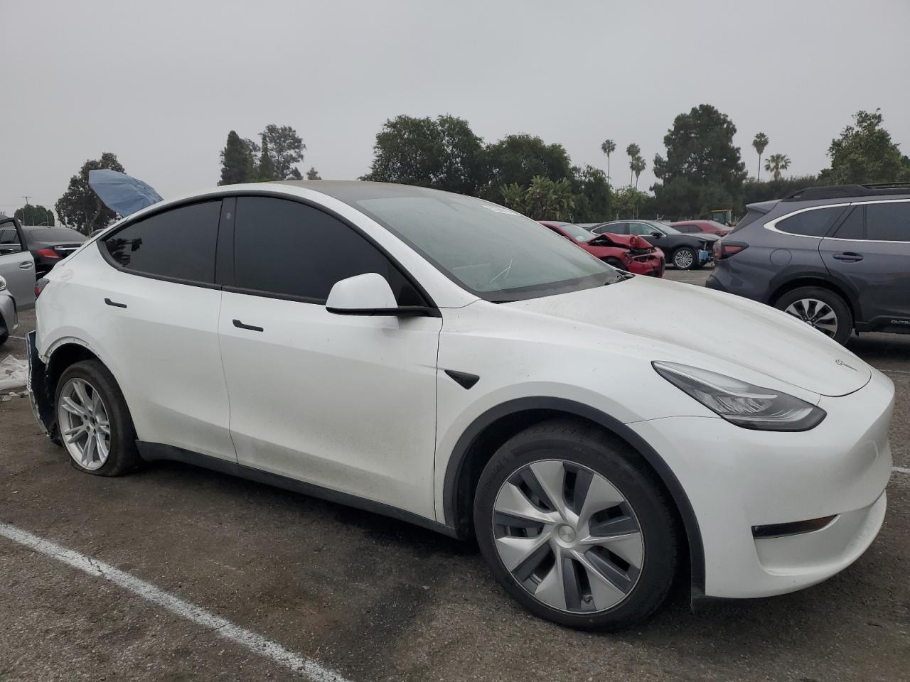 2023 TESLA MODEL Y  VIN:7SAYGDEE5PA115229