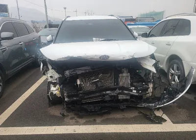 2021 Kia Carnival KNANE81BBMS033456 VIN:KNANE81BBMS033456