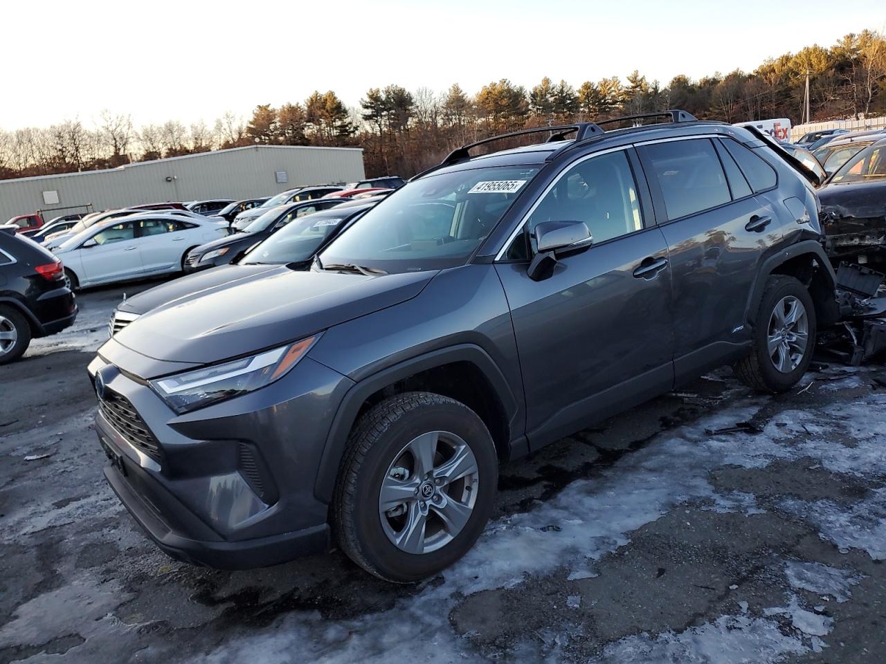 2024 TOYOTA RAV4 XLE VIN:4T3RWRFV2RU155588