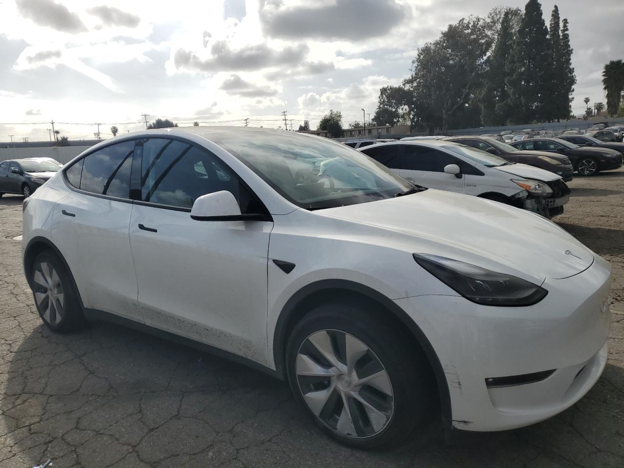 2023 TESLA MODEL Y  VIN:7SAYGDEE1PF746921