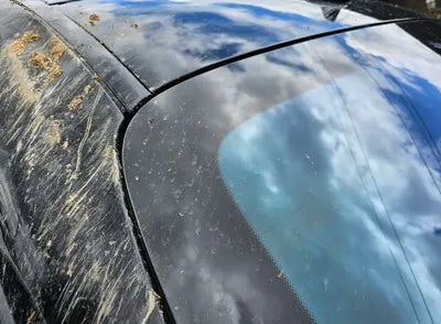 2020 Mercedes-Benz S 560 VIN: