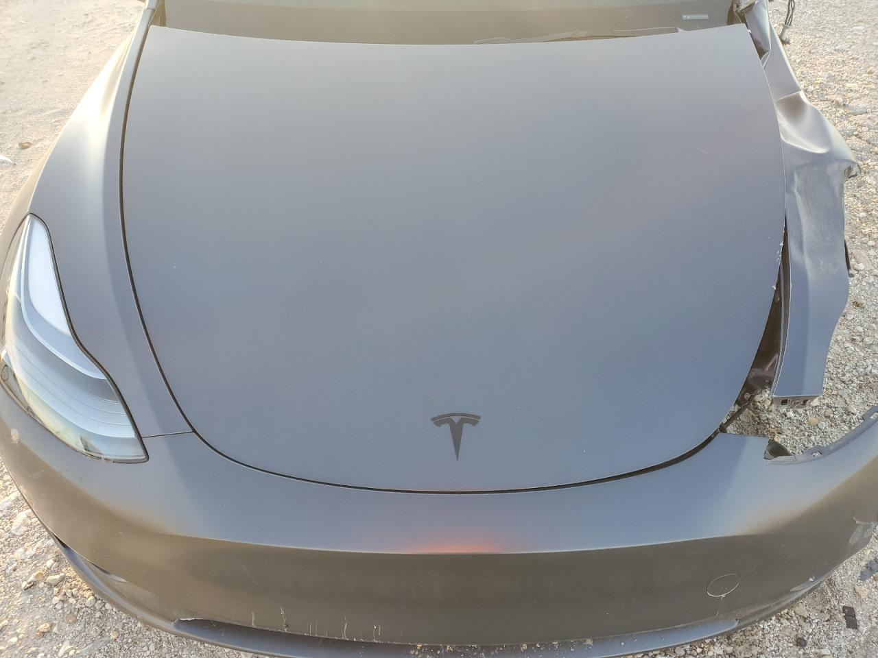 2023 TESLA MODEL Y  VIN:7SAYGDEE7PA166943