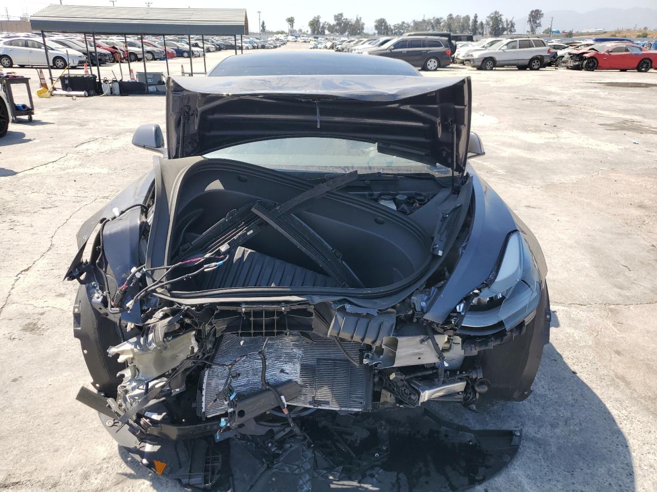 2023 TESLA MODEL 3  VIN:5YJ3E1EA3PF666514