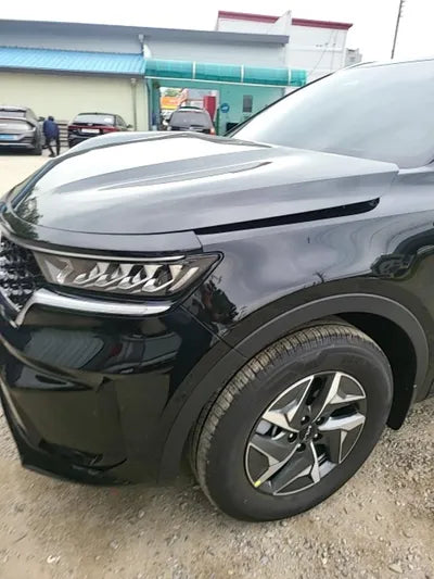 2022 Kia Sorento KNARL81GBNA105043 VIN:KNARL81GBNA105043