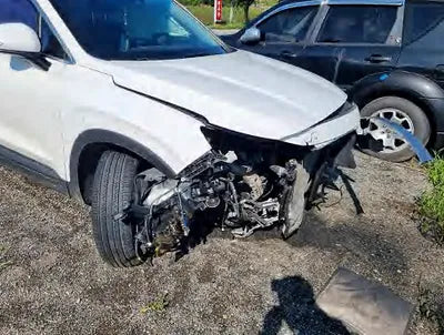 2019 Hyundai Santa FE KMHS281CDKU096955 VIN:KMHS281CDKU096955