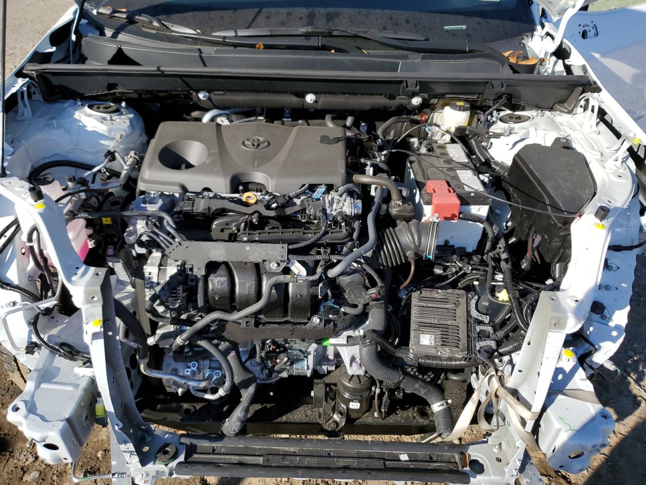 2024 TOYOTA RAV4 XLE VIN:2T3W1RFVXRC295455