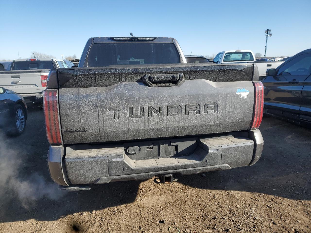 2023 TOYOTA TUNDRA CREWMAX PLATINUM VIN:5TFNA5DB6PX102836