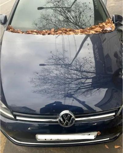 2015 Volkswagen Golf WVWZZZAUZFW211585 VIN:WVWZZZAUZFW211585