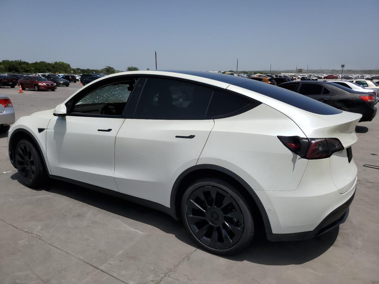 2022 TESLA MODEL Y  VIN:7SAYGDEE6NF355356