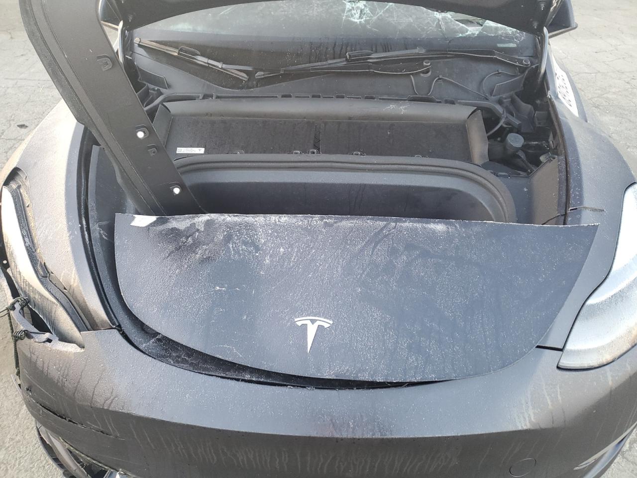 2024 TESLA MODEL Y  VIN:7SAYGDEE4RA223599