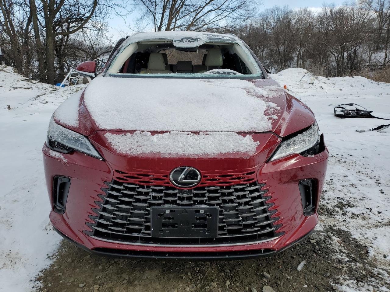 2023 LEXUS RX 350H BASE VIN:2T2BBMCA0PC014846