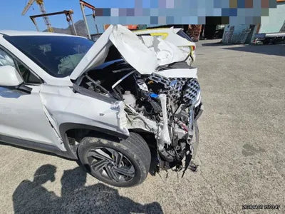 2021 Hyundai Santa FE KMHS281HGMU399615 VIN:KMHS281HGMU399615