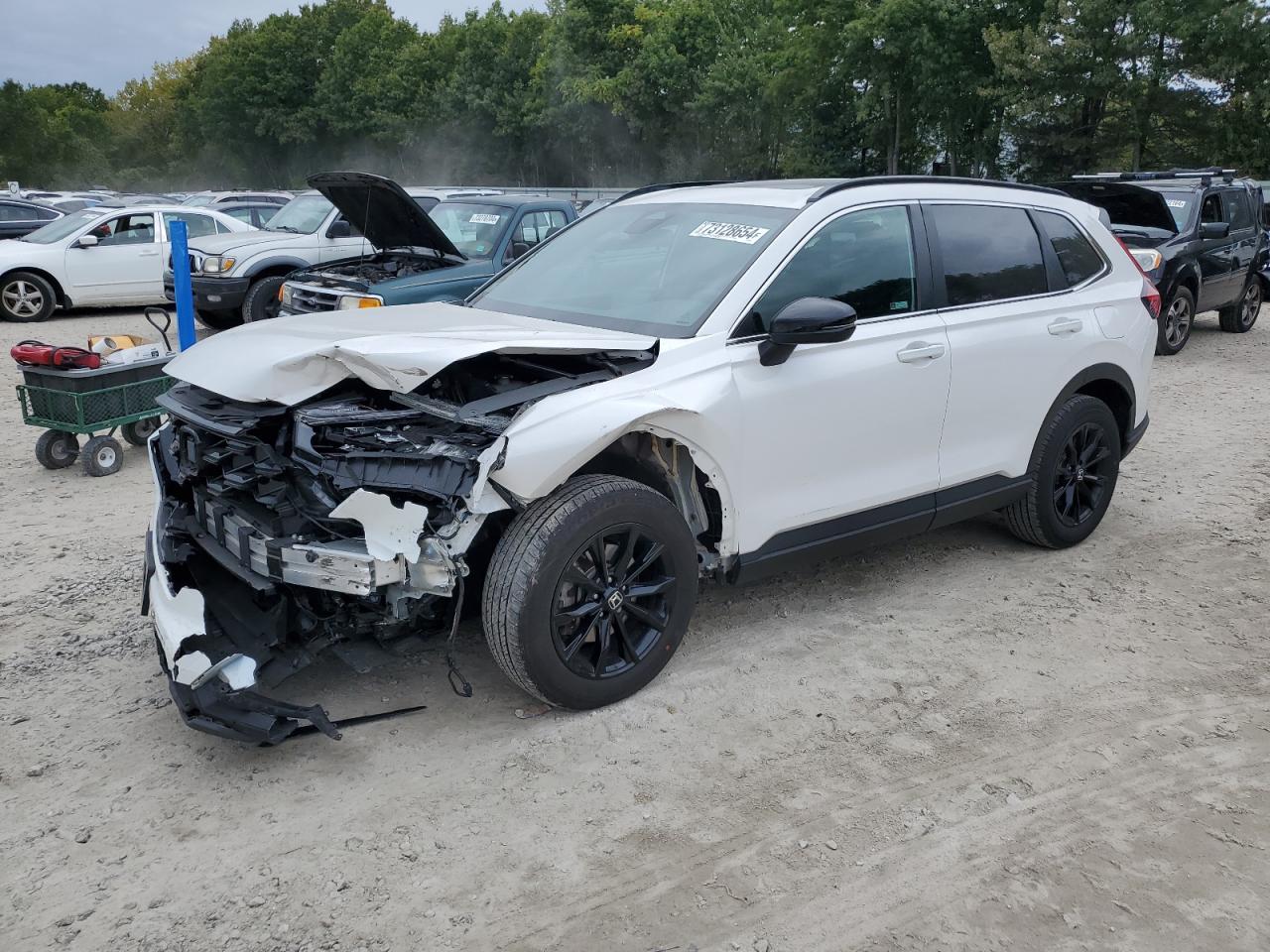 2024 HONDA CR-V SPORT VIN:5J6RS6H50RL005824