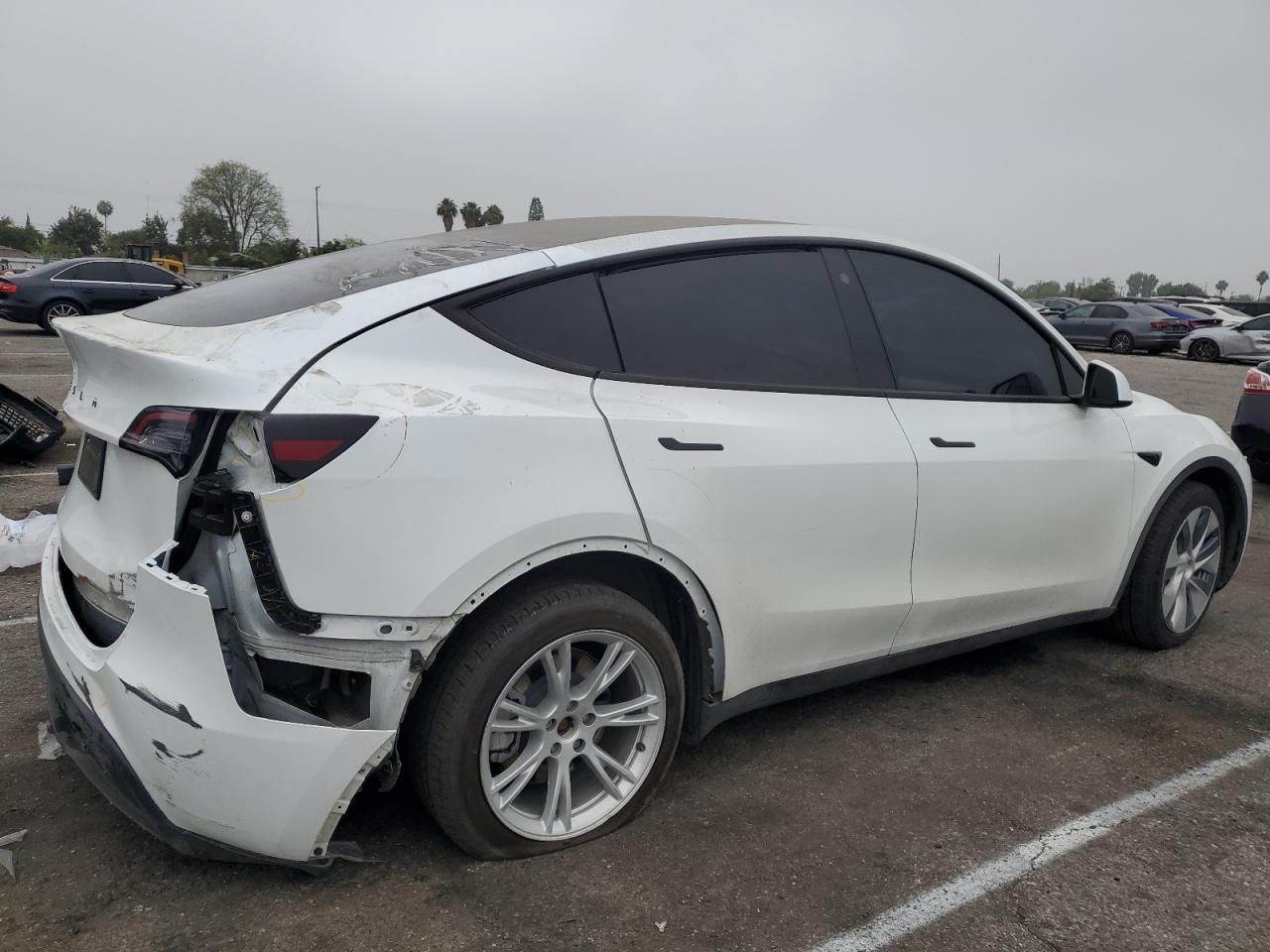 2023 TESLA MODEL Y  VIN:7SAYGDEE5PA115229