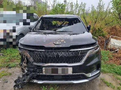 2020 Kia Carnival KNANE81BBMS006954 VIN:KNANE81BBMS006954